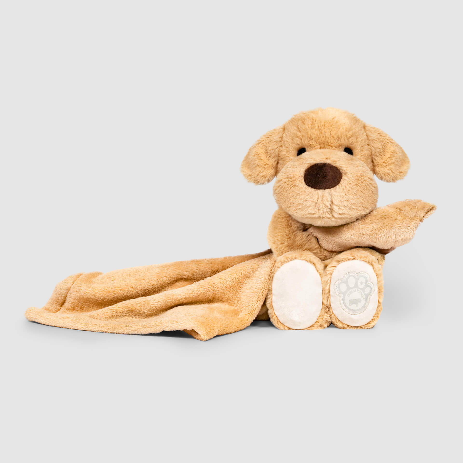 Weighted Calming Toy G5